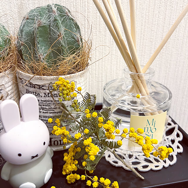 Bathroom,トイレディスプレイ,香りのある暮らし,黄色,Francfranc,ディフューザー,お気に入り♡,ミモザ,季節の花,皆さんの素敵なインテリアに憧れる❤︎,いつも嬉しいコメントありがとう♡ kiyoeの部屋