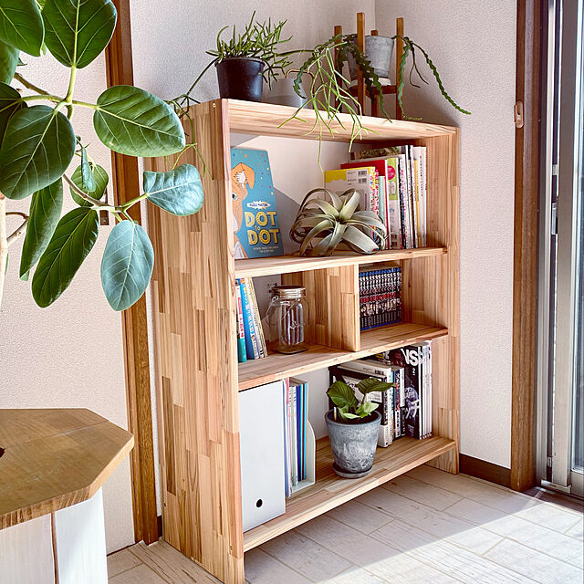 本棚DIY,賃貸DIY,植物のある暮らし,棚DIY,ブログやってます,子どもと暮らす,子どものいる暮らし,My Shelf chocoriの部屋