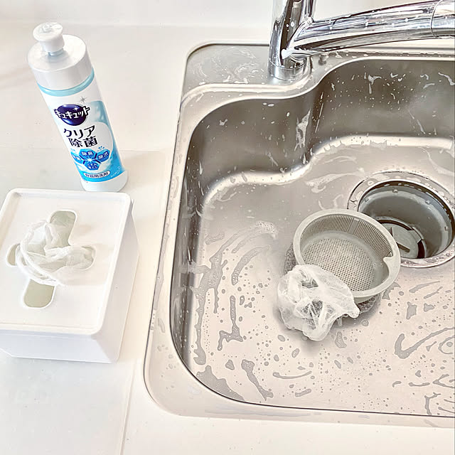 イベント参加,再投稿なのでコメントお気遣いなく。,代用アイデア,ゴミ受け,水切りネット,ストッキングネット,シンク掃除,やめたこと sasaeriの部屋
