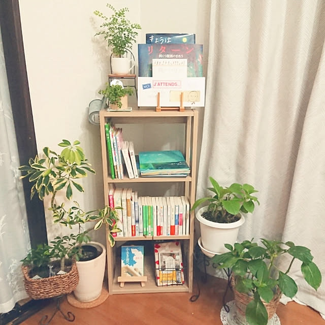 My Shelf,賃貸,賃貸アパート,ひとり暮らし,一人暮らし,緑のある暮らし,観葉植物,あじさい,絵本,本,本棚 zunnchiの部屋