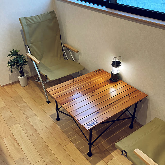 キャンプギア,階段ホール,観葉植物 Shimaの部屋