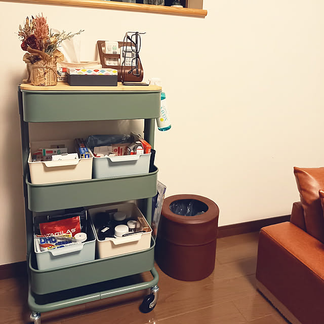 My Shelf,ふたり暮らし,2LDK 二人暮らし,賃貸,生活感たっぷり,薬箱企画,薬収納,サプリメント収納,100均,IKEA,RÅSKOG,キッチンワゴン,空き箱利用,ドライフラワーのある暮らし,ゴミ箱 pyons_0105の部屋