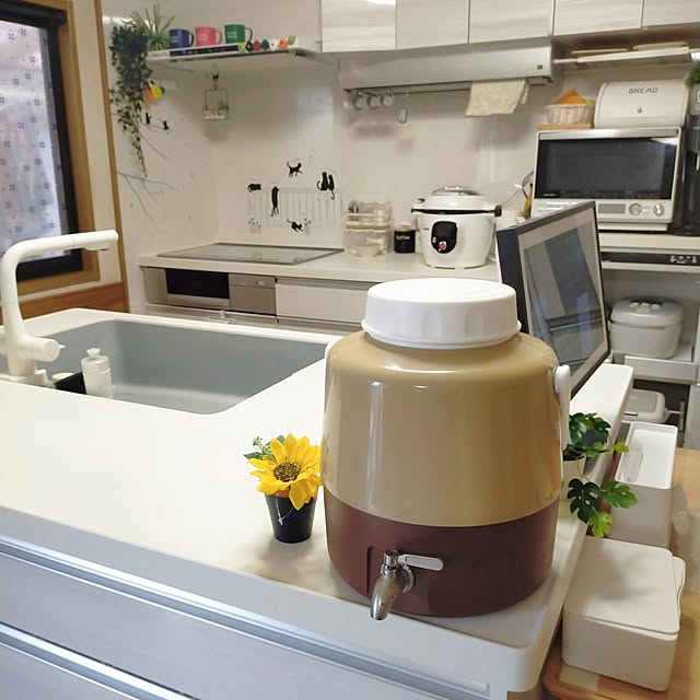 Kitchen,買ってよかったもの,ジャグ,コールマン,Coleman,水分補給,子供でも使いやすく mash-room.aeの部屋