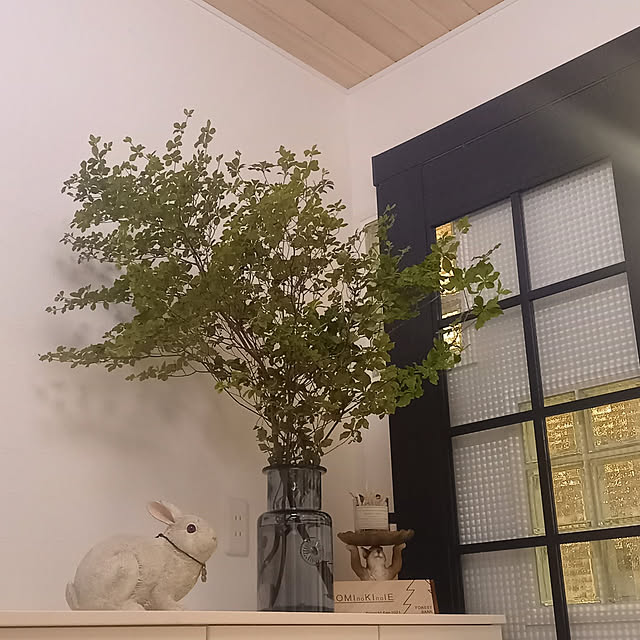 Entrance,ドウダンツツジデビュー,みなさんいつもありがとうございます♪,もみの木の家,ACTUSの花瓶,うさぎと暮らす,下駄箱の上ディスプレイ Taku38の部屋