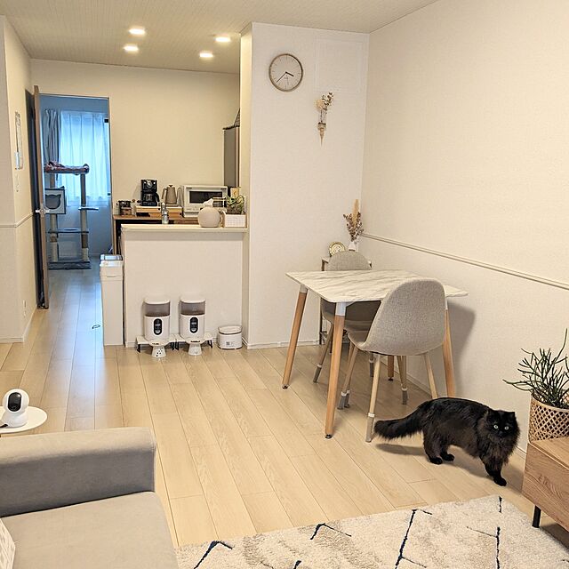 Overview,新生活,1LDK,猫と暮らす,多頭飼い,シンプルに kumiの部屋