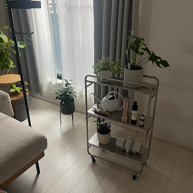 Lounge,ワゴンカート,ステンレス,新築一戸建て,心地よい暮らし,観葉植物 mikeの部屋