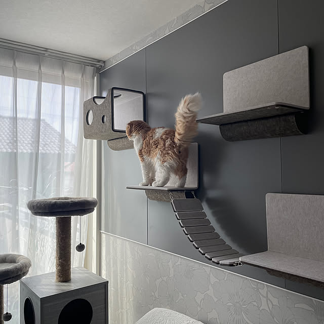Lounge,ねこ,キャットウォーク,スコティッシュフォールド,LIXIL,ねこのいる日常,猫と暮らす,海外インテリアに憧れて,グレー好き,ねこと暮らす,スコティッシュフォールド折れ耳,Living Deli,にゃんぺき,2階リビング chachaharuloveの部屋