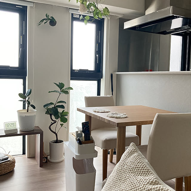 無印良品,ゴムの木♡,ナチュラル,シンプル,分譲マンション,ミニマリスト,カフェ風インテリアを目指して,快適生活,ナチュラルインテリア,観葉植物大好き❤︎,コウモリラン苔玉,グリーンのある暮らし♡,ポトス,My Desk emuの部屋