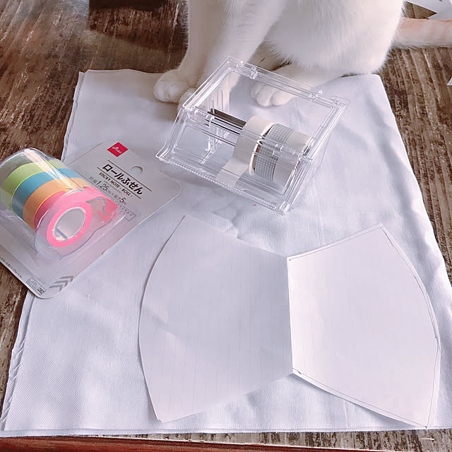 マステ＆マステケース,ロール付箋,ダイソー,古い家屋,ねこと暮らす。,猫のいる暮らし,レトロな家,沢山やりたい事ある,今、収納見直し最中,にゃんこの生活,やりたい事ありすぎ,My Desk seroriの部屋