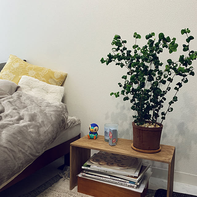 Bedroom,この字ラック,D I Y,100均,一人暮らし,1K,丁寧に暮らしたい,ダイソー,セリア,心地よい暮らし,賃貸インテリア,クッション,ニトリ,観葉植物 mikkoの部屋
