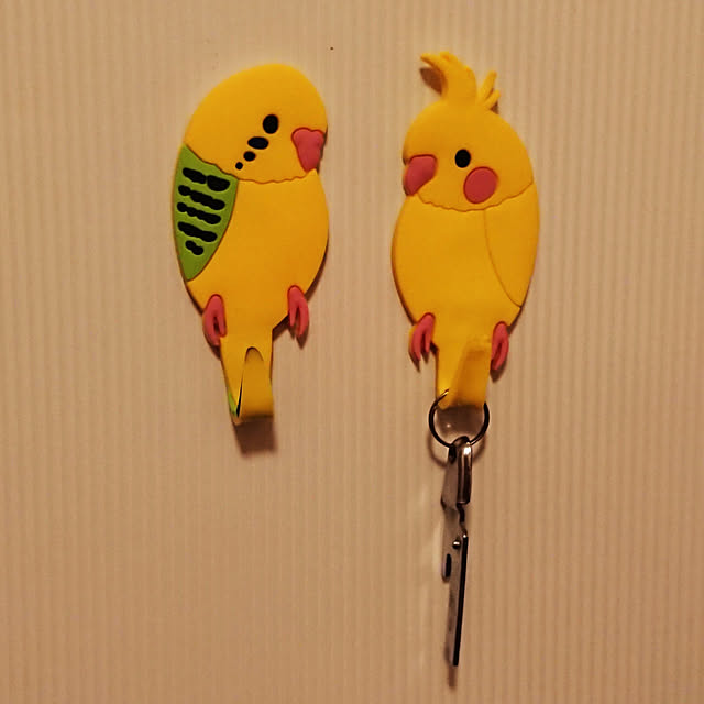 Entrance,セリア,マグネットフック,インコ soyokoの部屋