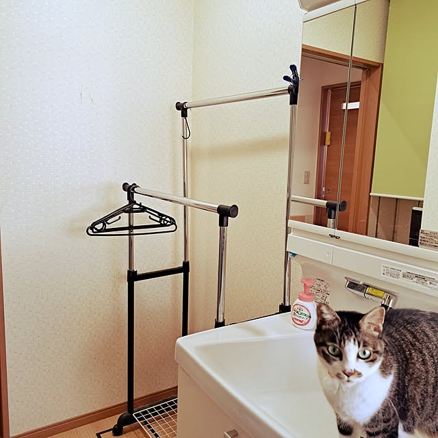 Bathroom,ねこのいる日常,中古一戸建て,ねこと暮らす,ねこのいる暮らし,パイプハンガーラック,日常に感謝❤,閲覧、いいね有難うございます♡,洗面所の使い方 kiyohima229の部屋