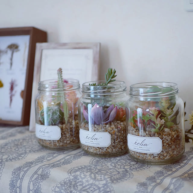 Bedroom,多肉植物,フェイクグリーン,Ampoule,消臭,NO GREEN NO LIFE,モニター商品,みて頂きありがとうございます♡,モニター当選ありがとうございます,コメントスルーで大丈夫です♡,CT触媒加工,抗菌、防汚、消臭 moku2の部屋