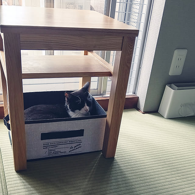 Overview,無垢の家具,猫ばかりごめんなさい,築古マンション,ケチケチリフォーム,低予算,ふちなし畳,猫と暮らす。,無印良品,3COINS,保護猫,イベント参加中,アクセントクロス,脱走防止柵,誤字ごめんなさい,中断→中段です(^^;,和室,ベンチチェア,収納ボックス,ペットとの暮らし,ハチワレ♀ すず,箱入り猫,ねこと暮らす,猫大好き,猫ホイホイ,93回目のmag掲載,Roomclip mag掲載♡,2024.6.23 hihaの部屋