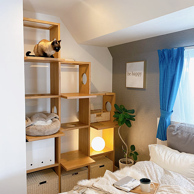 Bedroom,観葉植物,照明,ニトリ,ねこと暮らす,ペットがいる暮らし Noaの部屋