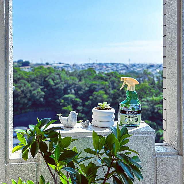 リフォーム,中古マンション,ガーデン雑貨,ベランダ雑貨,ベランダガーデン,ベランダ,ブルー,青空,夏空,夏,グリーン,AREAWARE,MoMA Design Store,陶器,プランター,スタッキングプランター,モニター参加中,ボタナイス,アース製薬,癒しスペース,観葉植物,多肉植物,植物のある暮らし,虫対策,BotaNice,ミニチュア,ガジュマルの木,mag掲載ありがとうございます,Lounge,mag Websiteにまとめました teracoyaWORLDの部屋