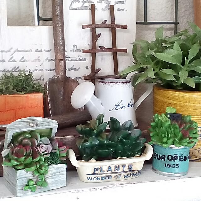 Overview,雑貨,多肉植物,ミニチュア,セリア,いつもいいね！ありがとうございます♪ mariagardenの部屋
