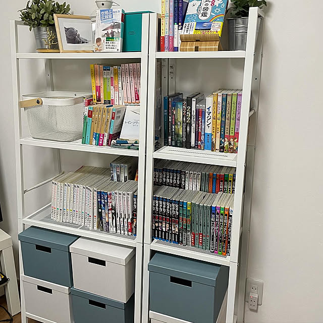 イケア,レールベリ,IKEAの棚,My Shelf Rの部屋