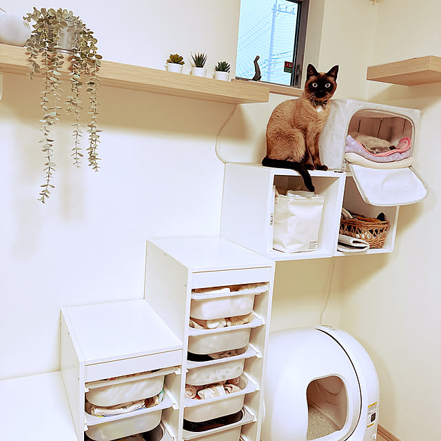 Lounge,ベビー収納,トロファスト,ブルーポイント,ロシアンブルー,シャムmix,ナチュラル,IKEA,カフェ風,ヘーベルハウス,赤ちゃんのいる暮らし,双子のいる生活,双子と暮らす aichinの部屋