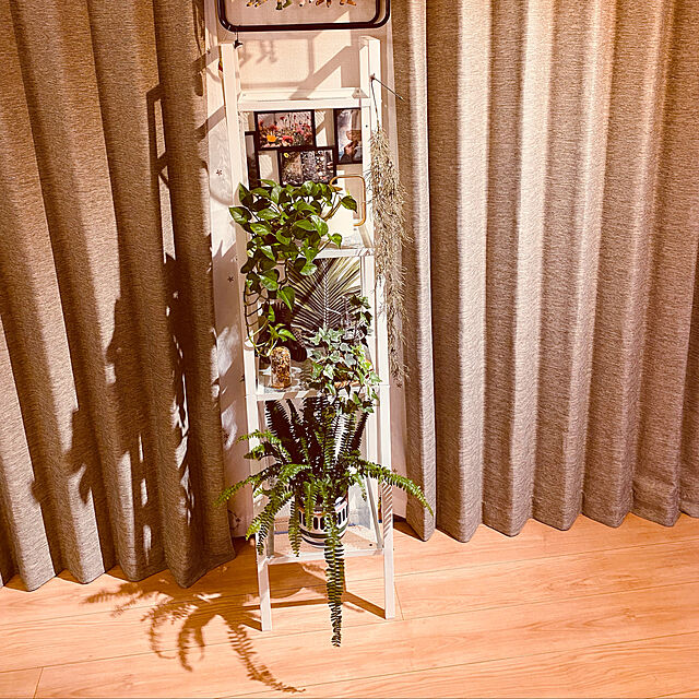 観葉植物,IKEA,アンティーク,ドライフラワー,Lounge masatoの部屋
