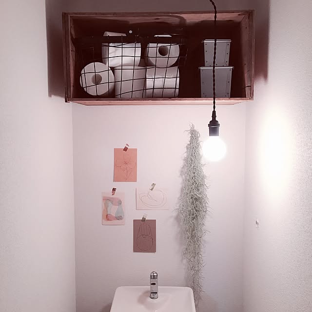 Bathroom,ポストカード,りんご箱,ワイヤーバスケット,ブリキ缶,裸電球,ウスネオイデス,チランジア,塩系インテリアに憧れる,フジカワエハガキ,賃貸,DIY yunの部屋