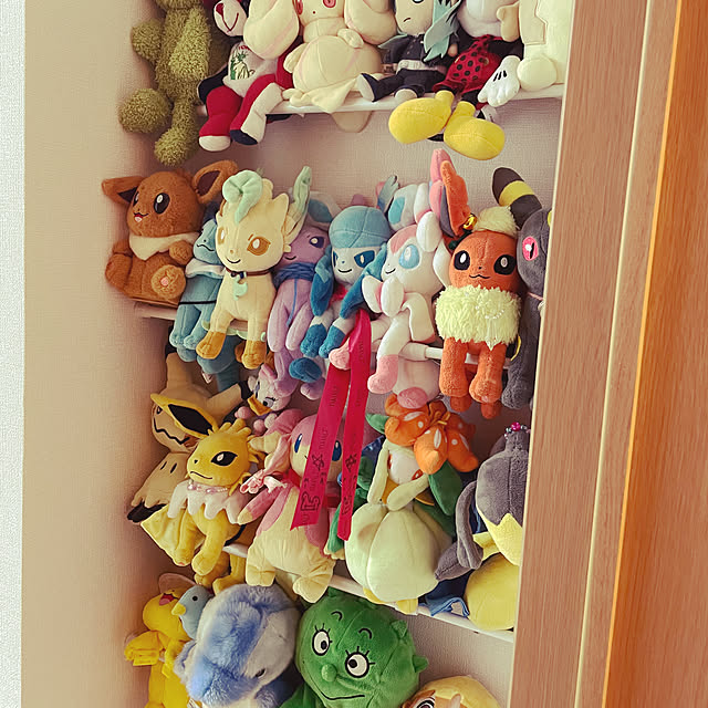ポケモン,突っ張り棒,子供部屋,ぬいぐるみディスプレイ,ぬいぐるみ収納,ぬいぐるみ,My Shelf,キャンドゥ NSの部屋
