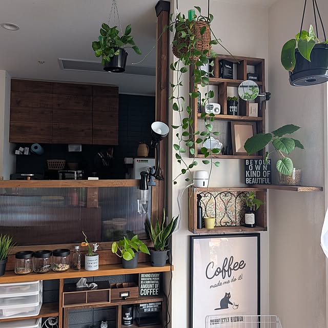 Lounge,アース製薬,虫対策,快適な暮らし,マモルーム,猫と暮らす家,猫との暮らし,マモルーム蚊用,マモルームアンバサダー2025 lovepeaceの部屋