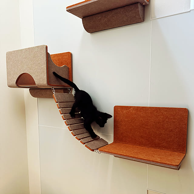 Lounge,IKEAの椅子,インテリア,キャットウォーク,LIXIL,保護猫,猫と暮らす,ねこと暮らす,観葉植物のある暮らし,見ていただきありがとうございます♡,Living Deli,にゃんぺき lemonadeの部屋