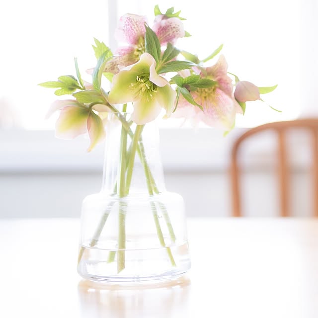 My Desk,一輪挿し,お庭,花のある暮らし,お庭のある暮らし,ガーデニング,半日陰の庭,生ける,クリスマスローズ,テーブル,ホルムガード,フラワーベース,花瓶,ガーデン,雑貨 pomeの部屋