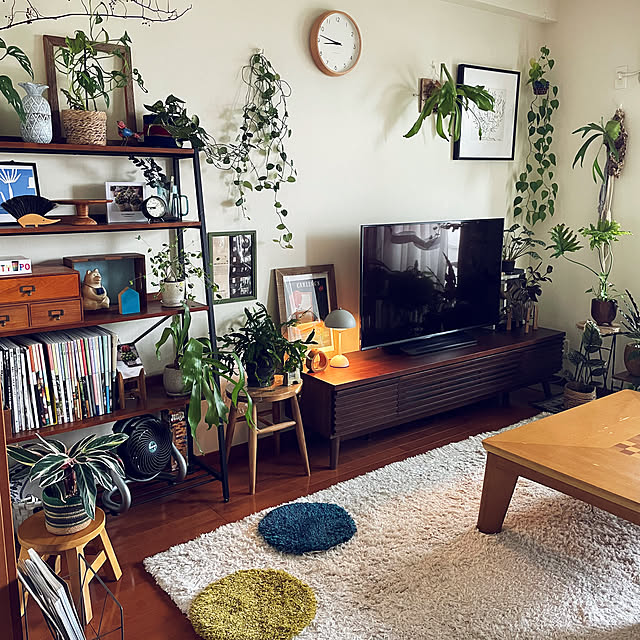 Lounge,LIFE誌切り抜き,R5.10.5,アートのある暮らし,観葉植物のある暮らし,好きなものに囲まれて暮らす,好きな時間,観葉植物,コウモリラン,イベント参加 miyamiyaの部屋