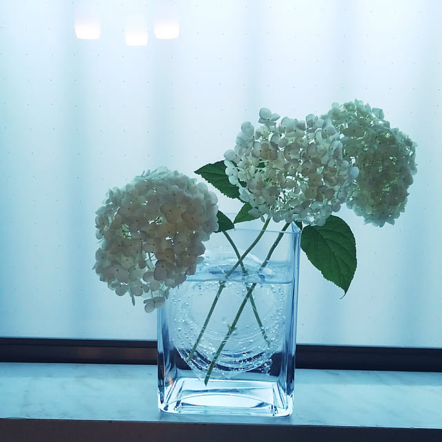 My Shelf,フォロワーの皆様に感謝です♫,いいね♪いつもありがとうございます❤️,アナベル,庭の花,花のある暮らし,ガラス,フラワーベース,紫陽花,ペットボトル再利用,螺旋状にカット,窓辺,窓際,暮らしの知恵,300いいね！ありがとうございます☆,2020.6.18デイリー掲載,たくさんの保存ありがとうございます♡ Renの部屋