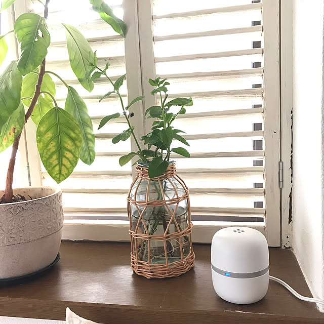 Lounge,漆喰壁,窓枠DIY,ありがとうございます♡,ルーバーDIY,建売住宅,ダニ対策,子どもと暮らす,ペットとの暮らし,アース製薬,すっきり暮らす,虫対策,毎日の暮らし,快適な暮らし,投稿遅くなりましたm(_ _)m,マモルーム,暮らしのハンドブック2024,ナチュラルガーデンを目指して,DIY,セルフリフォーム nao_fleuriの部屋