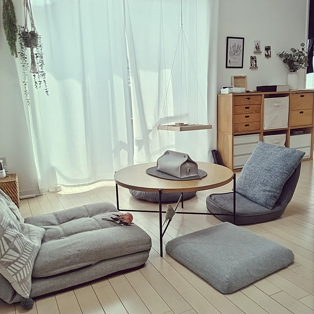 Lounge,座椅子,カインズクッション,無印良品,スタッキングシェルフ無印良品,フェイクグリーン,ニトリ　センターテーブル,カインズ　ティッシュボックス,アートポスター,インコと暮らす家,アキクサインコ,セキセイインコ yu-pocoの部屋