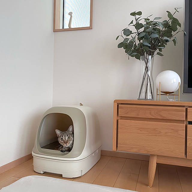 猫ちゃん想い,ねこと暮らす,ニャンとも清潔トイレ,ねこのいる日常,猫トイレ,家族で暮らす,ナチュラル,北欧,北欧インテリア,家族,Lounge poncha_homeの部屋