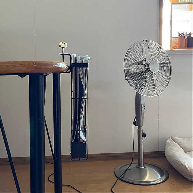 Lounge,ネコのいたずら,ネコ姉弟,新聞置き場,ネコが好き,発泡スチロールの上げ底,ビー　弟　白黒,ラグ　姉　キジトラ,ネコのいる暮らし,niko and…のアイアン収納,週末買ったもの,日替わり投稿企画♪月曜日,複数枚投稿,夫に感謝,ドウシシャのメタル扇風機 nobikoの部屋