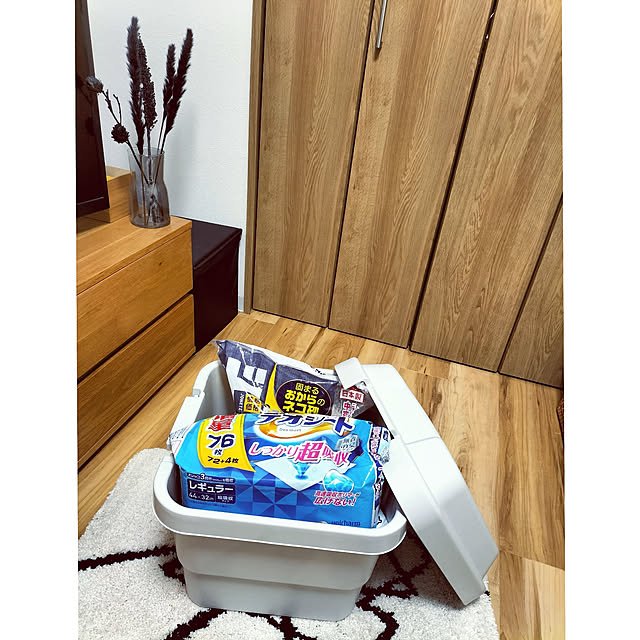 Lounge,リビング収納,あけて見せてね！,猫と暮らす,猫と暮らす家,ドライフラワー,あとでゆっくりお邪魔します♡,フラワーベース,イベント参加中,ペットと暮らす,無印良品,＆Black,収納ボックス,3COINS,スリコ,低予算リノベーション,築古マンション,収納スツール,ペットアイテム,頑丈ボックス,トイレ砂,トイレシート,Panasonic建具,VERITIS,105回目のmag掲載 hihaの部屋