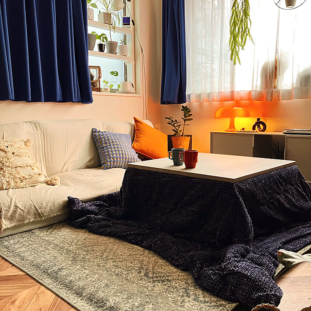 Lounge,ブロックマグ,ハサミ焼,イケヒコこたつ布団,ELEMENTS,こたつ,観葉植物,IKEA,ローソファー,ニトリ,窓枠,クッションカバー,ブルー,窓枠棚DIY,ラブリコ,青オレンジ白,猫,色のある暮らし mako2yaの部屋