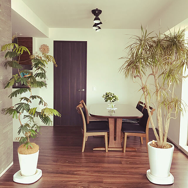 飛騨家具,観葉植物,Lounge,無垢の家具 Naoの部屋