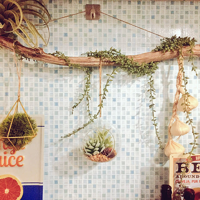 100均,ダイソー,ナチュラル,ハンドメイド,観葉植物,ニトリ,一人暮らし,フェイクグリーン,多肉植物,Kitchen,流木,初投稿 ryuの部屋