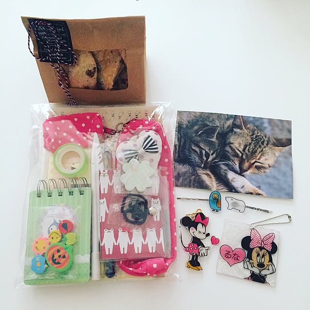 プラバンを使った作品100選 キャラクターを使ったデザインやアクセサリーなど Roomclip Mag 暮らしとインテリアのwebマガジン