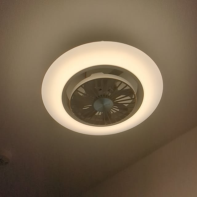 On Walls,一人暮らし,1DK,ねこのいる日常,猫と暮らすマンション,ねこのいる暮らし,1DK 一人暮らし,都内マンション,都内一人暮らし,30平米,持ち家マンション,西向きの部屋,サーキュレーター,サーキュレーターで循環,照明,照明器具,ドウシシャ diopucciの部屋