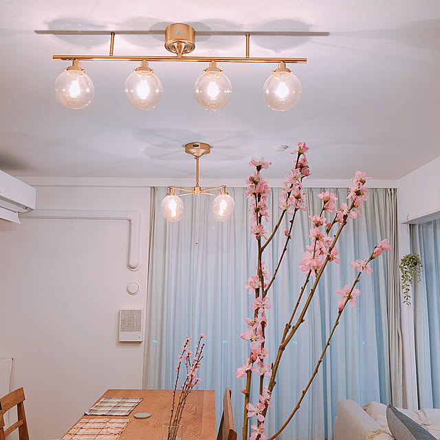 HERMOSA,ムーン,照明,ハモサ,枝もの,桃の花,マンション暮らし,ダイニング,On Walls,ライト pechi.homeの部屋