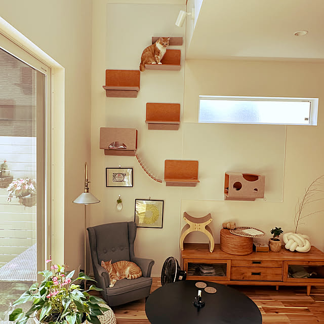 Lounge,ポコくんの勇姿✨,キャットウォーク,LIXIL,保護猫,猫と暮らす,見ていただきありがとうございます♡,ねこのあそびば,Living Deli,マグネットの壁,にゃんぺき,取り外し自由自在,観葉植物のある暮らし,一輪挿し,くろねこ,茶白ねこ,キジシロ猫,ちばわん,IKEAの椅子 lemonadeの部屋