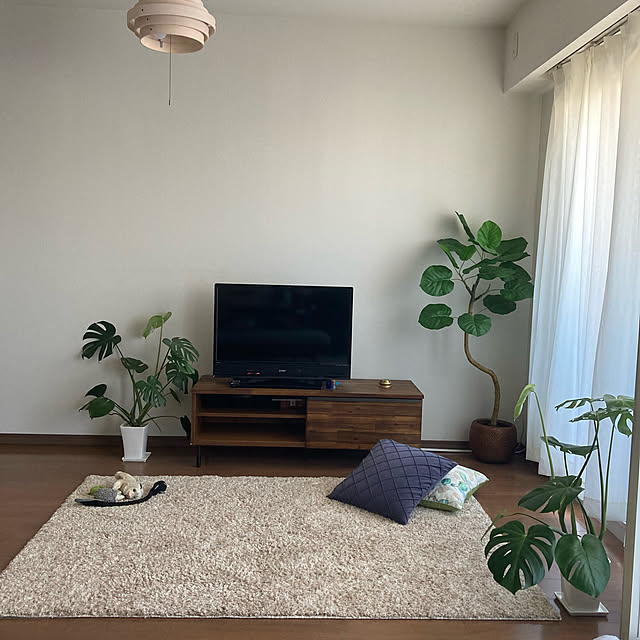 すっきり暮らす,観葉植物,ミニマルに暮らしたい,いぬと暮らす,Lounge plameden15の部屋