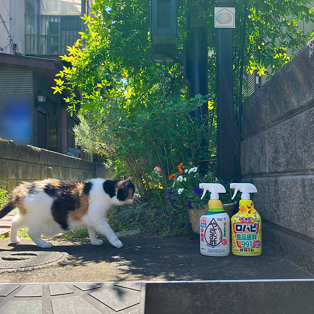 Entrance,ねこのいる暮らし,ガーデニング,害虫対策,アースガーデン,新生活応援ガイド2026 akanekoの部屋