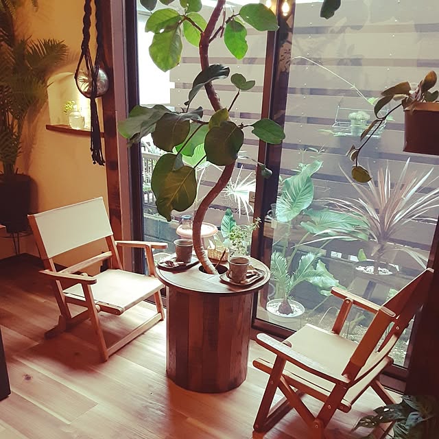 Lounge,折りたたみ式,観葉植物,ナチュラル,雑貨,DIY,カフェ風,多肉植物,ヴィンテージ,インダストリアル,カフェ風インテリア,いつもいいねありがとうございます♡,木製家具,観葉植物のある暮らし,イベントに参加します♡,観葉植物と暮らす,アフリカンプリンス,DIYプランツテーブル,信楽焼コーヒカップ&ソーサー milkyの部屋