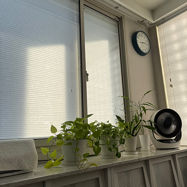 Lounge,インプラスfor Renovation,インプラス内窓,インプラス,ハニカムシェード,Tuissjp,観葉植物,窓辺のインテリア,窓 Rainyの部屋