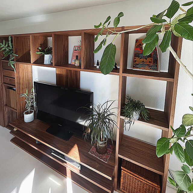 BOHOインテリア,観葉植物,ニトリ,北欧,多肉植物,My Shelf yamaの部屋