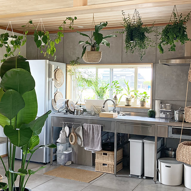 観葉植物のある部屋,観葉植物のある暮らし,観葉植物,ステンレスキッチン,壁付けキッチン,ゲートスタイルキッチン,EIDAIキッチン,EIDAI,永大産業キッキン,永大キッチン,永大産業,名古屋モザイク,名古屋モザイクタイル,台所収納,台所,田舎,平屋建て,日々の生活を楽しむ,新居,グリーンと暮らす,日々の暮らし,日々の記録,グリーンのある暮らし,新築記録,YKKap 窓,植物のある部屋,無印良品のある暮らし,感謝の毎日,コットメント,グリーンのある生活,ガラス,ムジラー,平屋の家,無印良品のある家,無印良品と暮らす,Kitchen hira_muji_mihiの部屋
