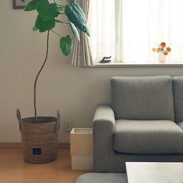 Overview,ごみ箱,うんべちゃんボロボロ(^^;,ニトリのソファー,コメントスルーで大丈夫です♡,訪問やコメントが行き届かずごめんなさい,ヤマト工芸,ダブルキューブ moku2の部屋